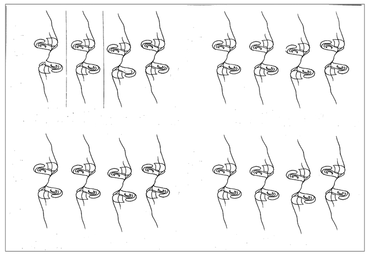 Dér Kata - minta terv